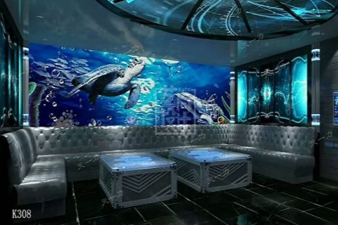 张家口小时场ktv，玩法全攻略-怀来县ktv预定